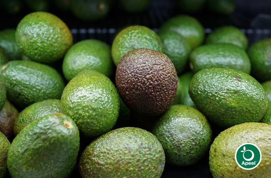 Mat beskytter mat: - BAMA tester usynlig avokado-beskyttelse