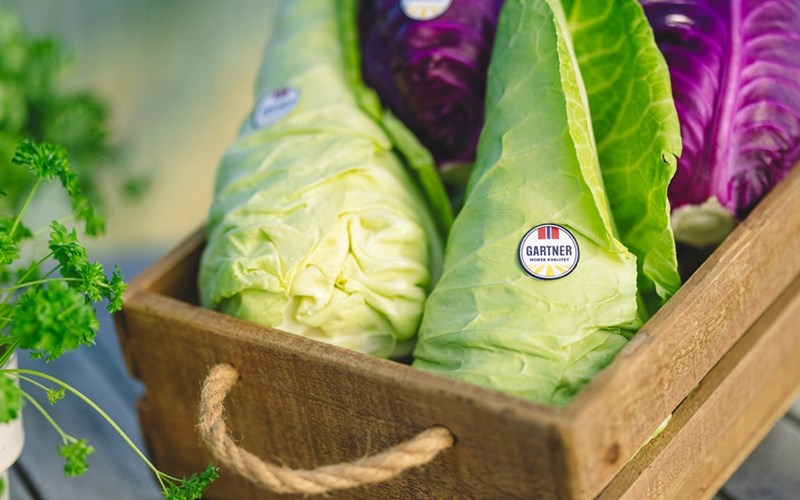 Endelig er den norske spisskålen her