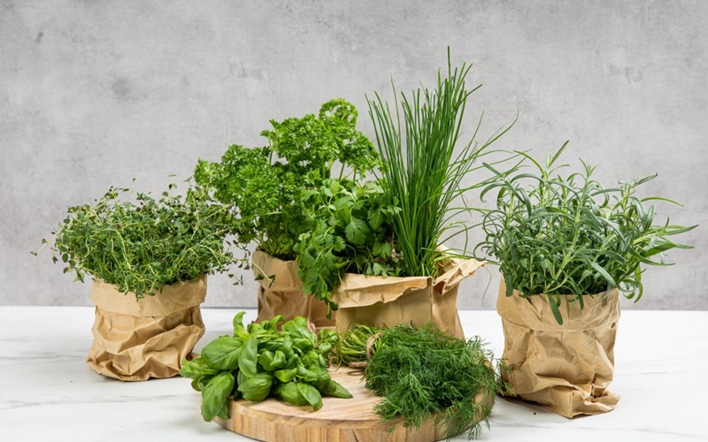 Slik tilbereder og bruker du urter