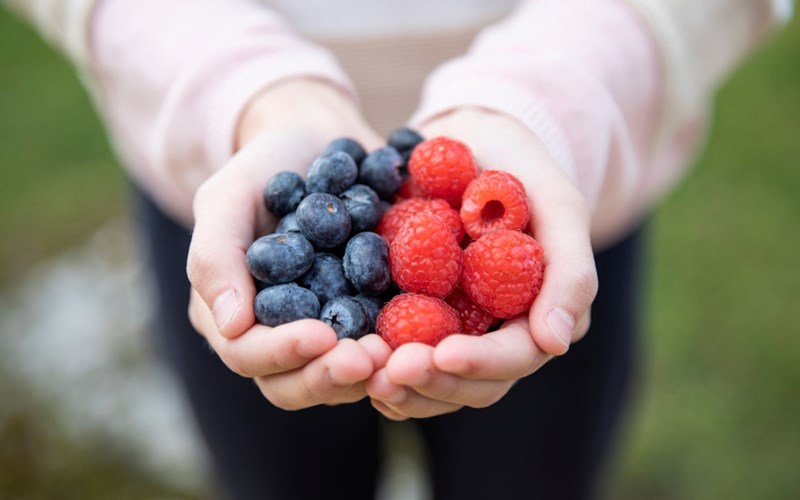 Hva er "5 om dagen"?