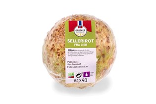 Sellerirot
