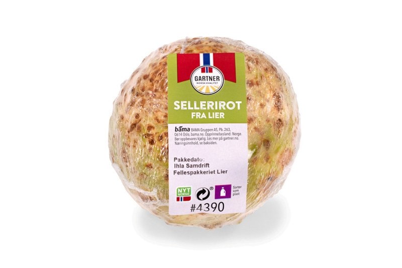 Sellerirot