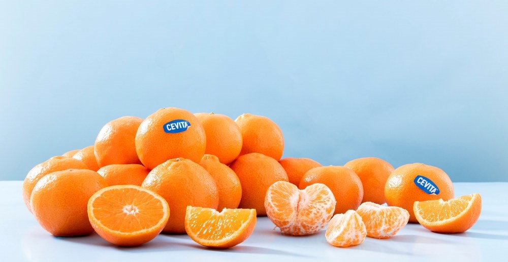 Klementin eller mandarin?