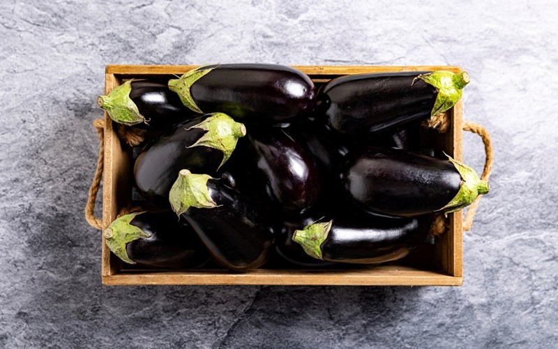 Aubergine