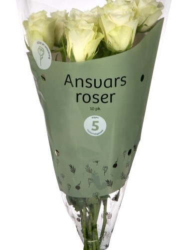 Ansvarsroser i ny drakt 