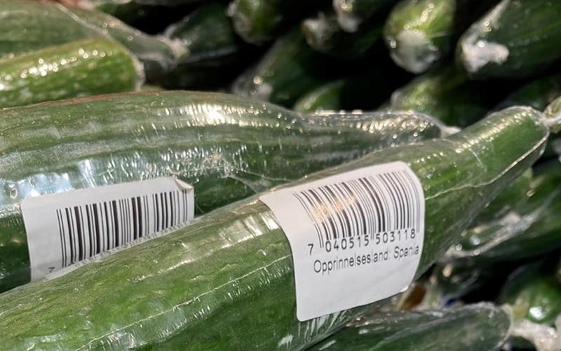 Mistanke om salmonella