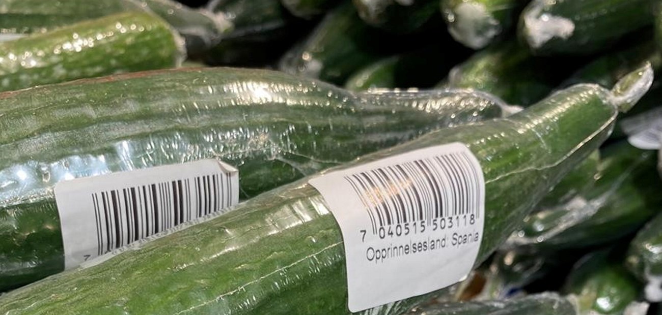 Mistanke om salmonella
