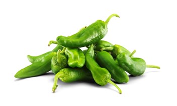 Padron