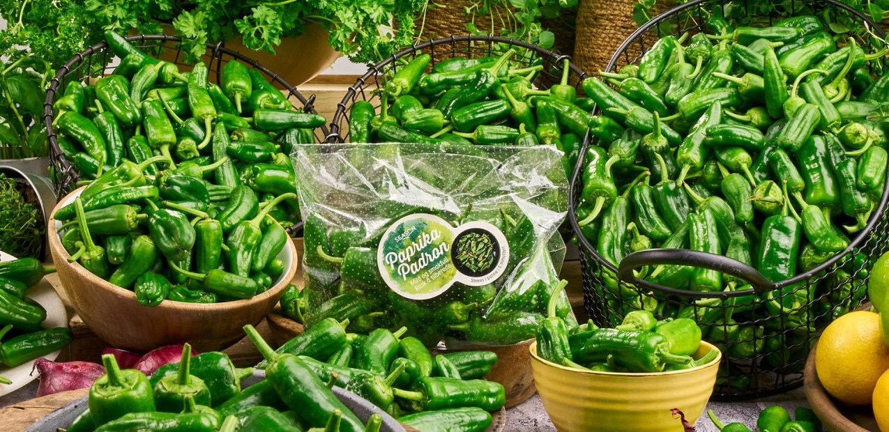5 ting du ikke visste om padron