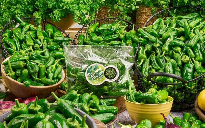 5 ting du ikke visste om padron