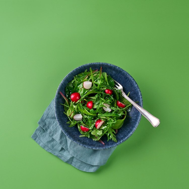 Reddiksalat med Ruccula