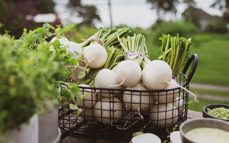 Godt å vite om sesongens norske neper