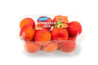 Aprikos