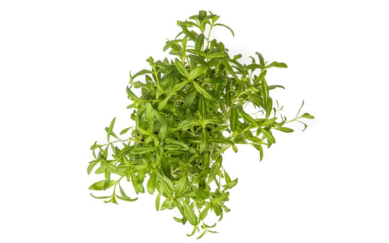 Slik tilbereder og bruker du estragon