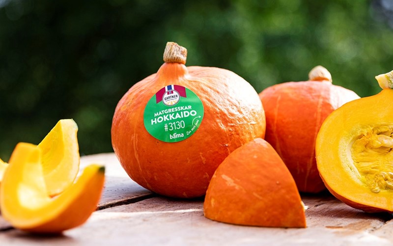 Hokkaidogresskar – en oransje høstfavoritt