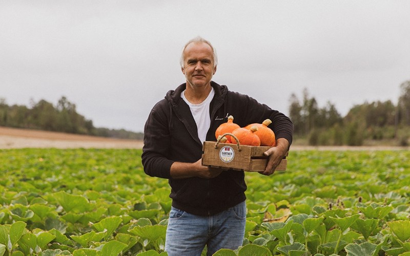 Gresskarblomster og bier på Nordre Bergan Gård