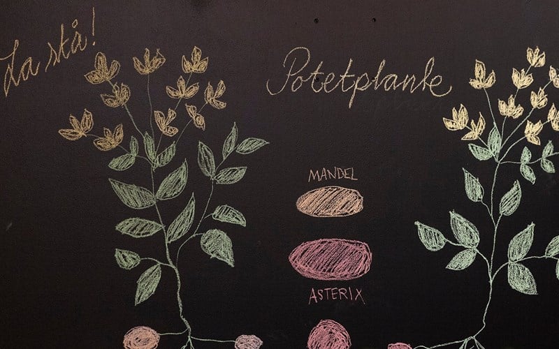 Alt du må vite om potet