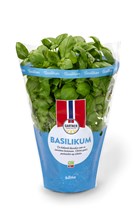 Basilikum
