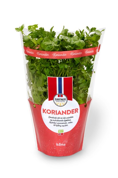 Koriander