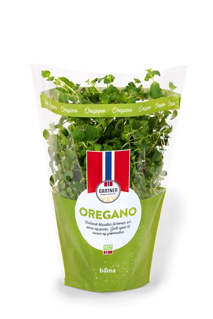 Oregano