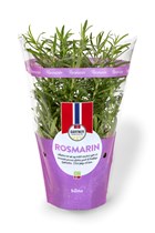 Rosmarin