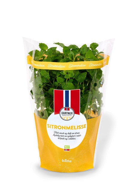Sitronmelisse