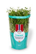 Timian
