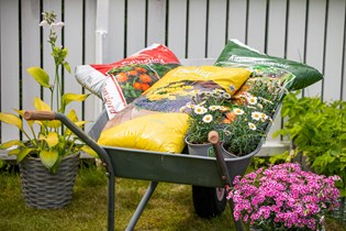 Blomsterjord