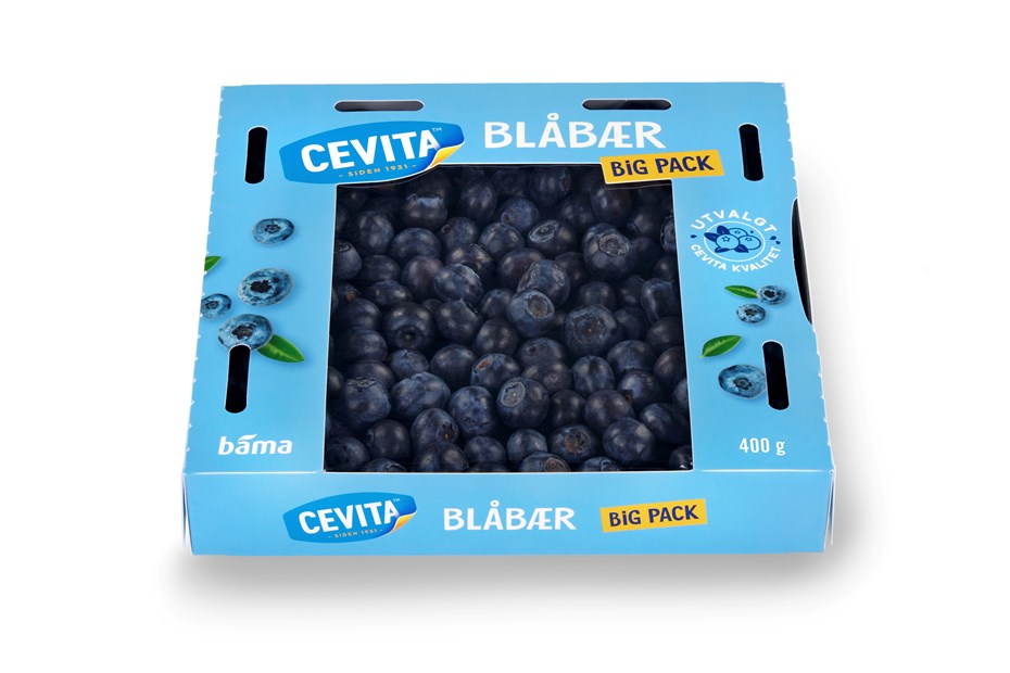 Blåbær