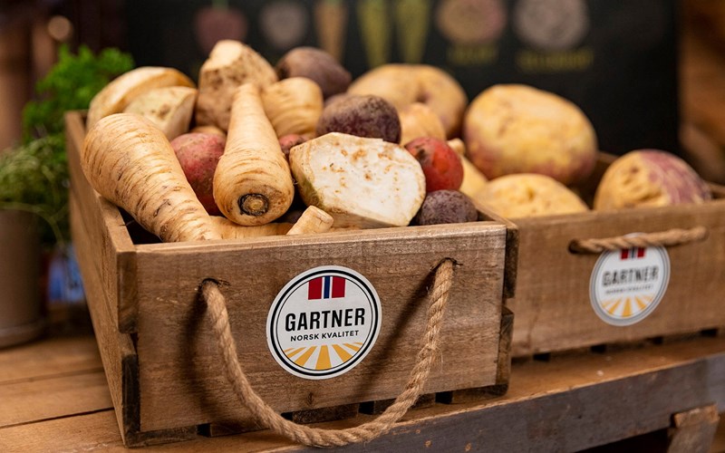 Alt du må vite om rotgrønnsaker