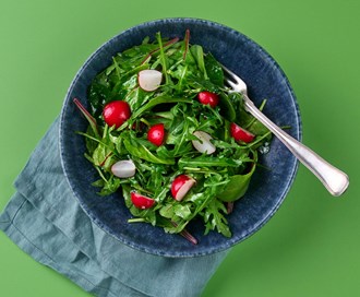 Reddiksalat med Ruccula