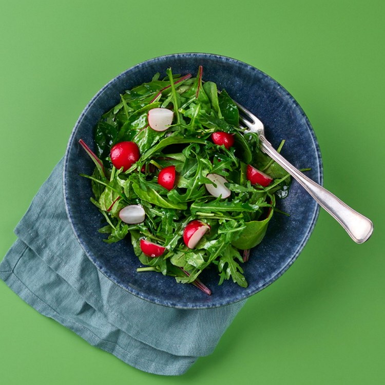 Reddiksalat med Ruccula
