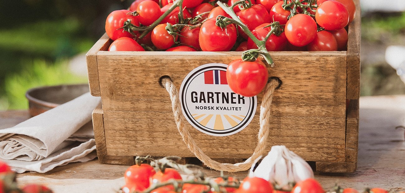 La deg inspirere av de norske tomatene