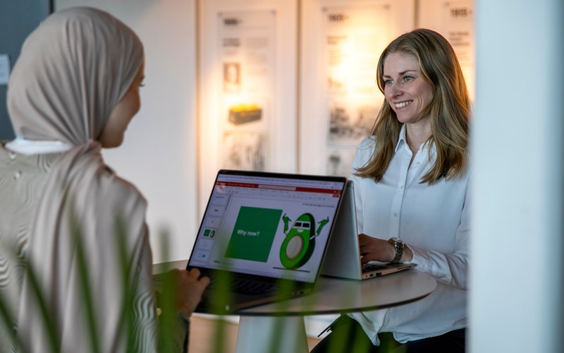 Eierstyring og  selskapsledelse