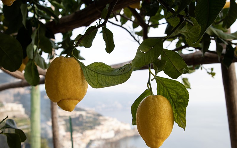 Internasjonal handel