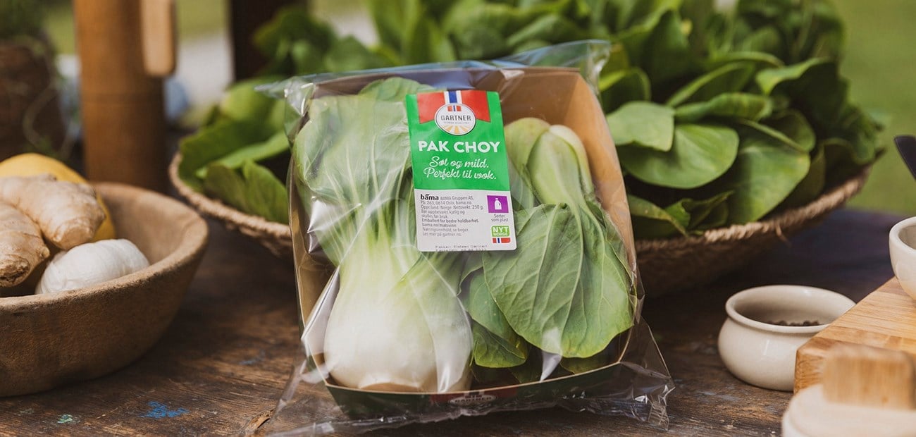 Alt du må vite om pak choy