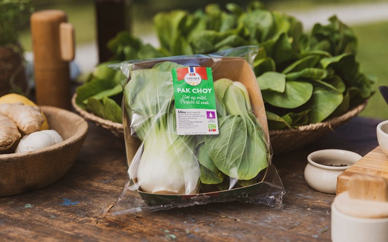 Alt du må vite om pak choy
