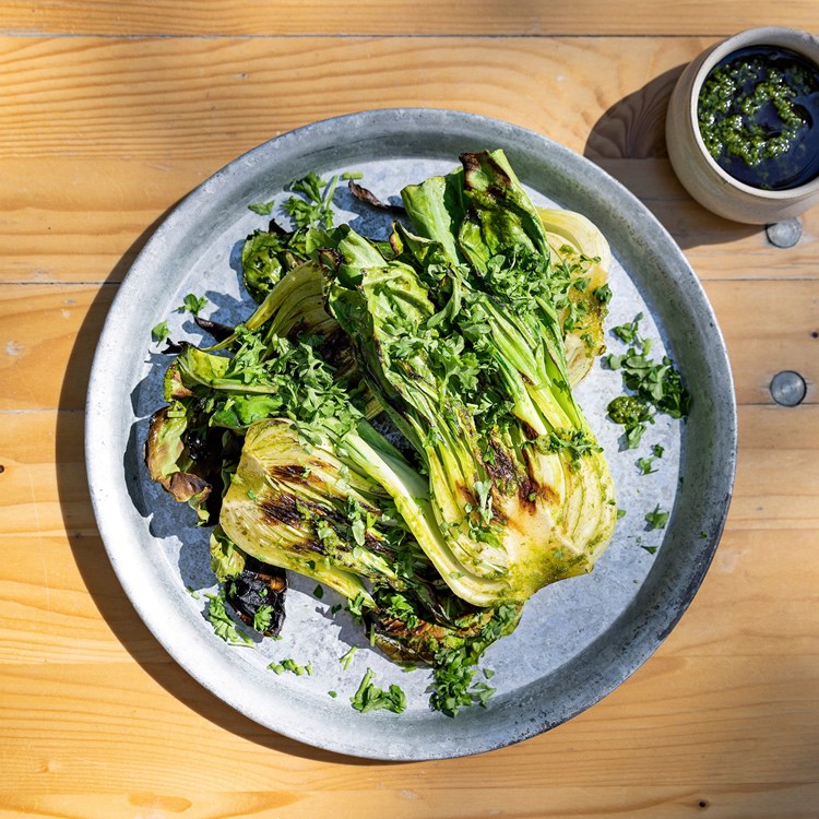 Urtegrillet pak choy