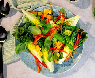 Norsk hjertesalat med appelsin og paprika