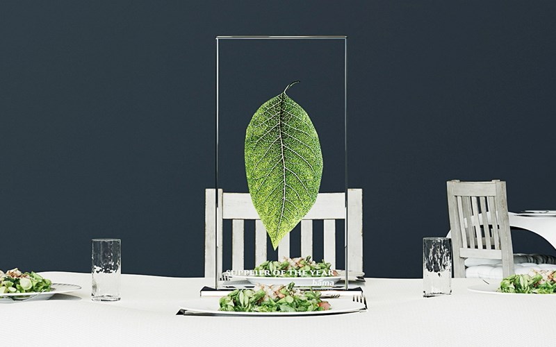 Kapittel 3: Høydepunkter