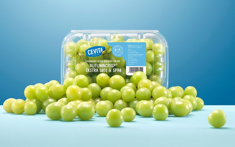 Dette må du vite om Autumn Crisp