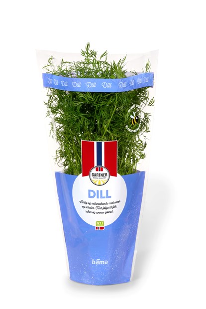 Dill