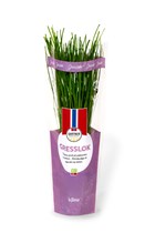 Gressløk