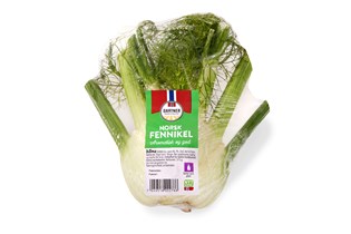 Fennikel