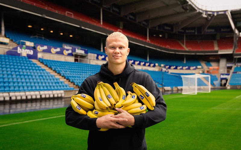 Seks gode grunner til å spise banan