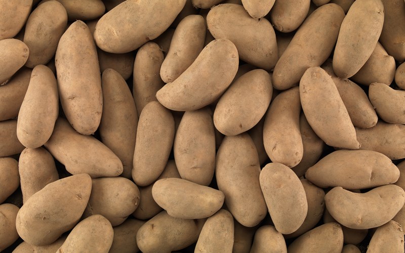 Gladmelding: I år blir det nok av julefavoritten!