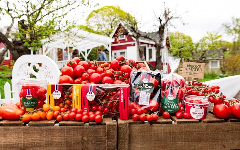 La deg inspirere av de norske tomatene