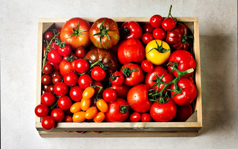 Stor tomatguide: Visste du dette om tomat?