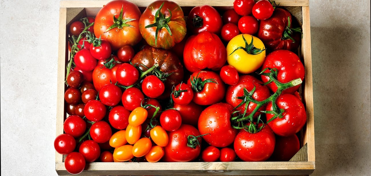 Stor tomatguide: Visste du dette om tomat?