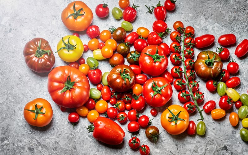 Alt du trenger å vite om tomat